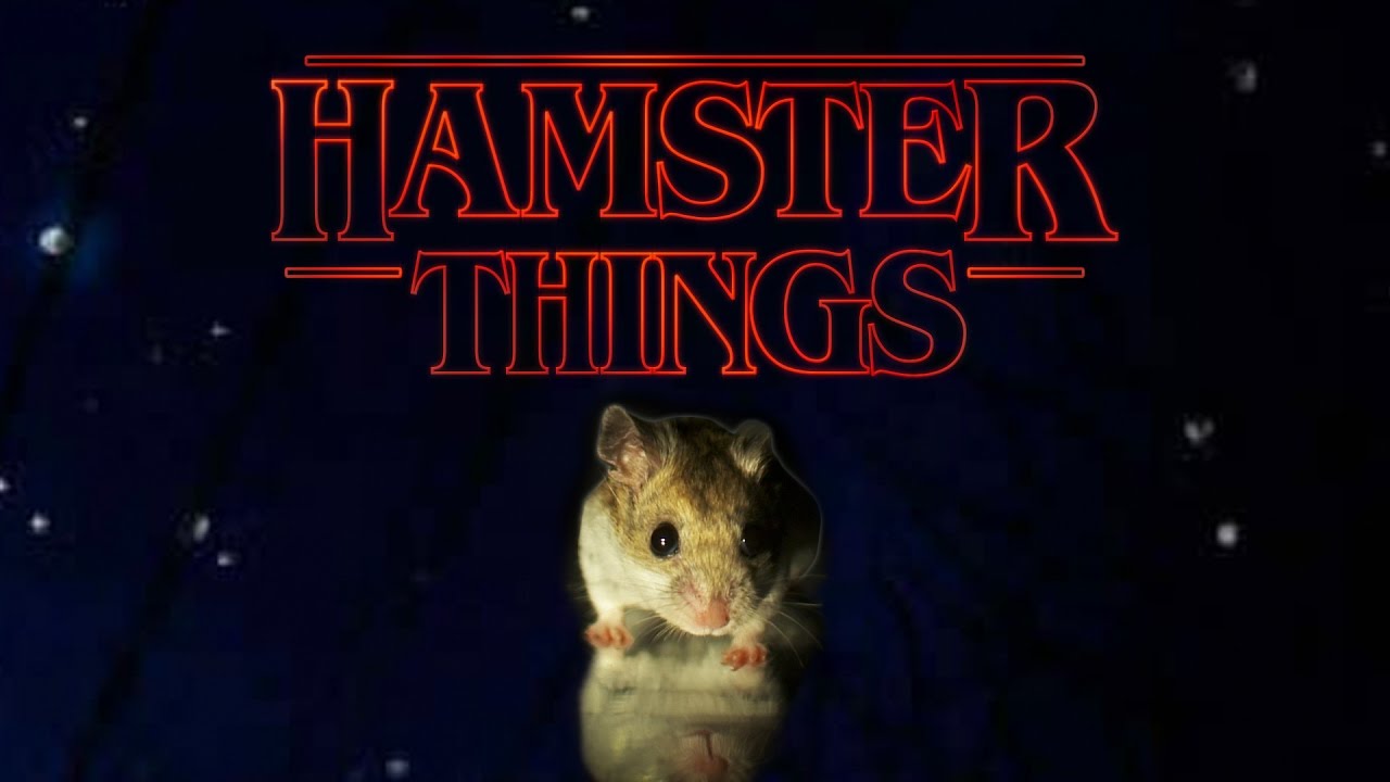 Hamster